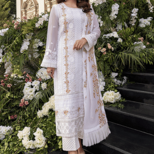 Pakistani Dress